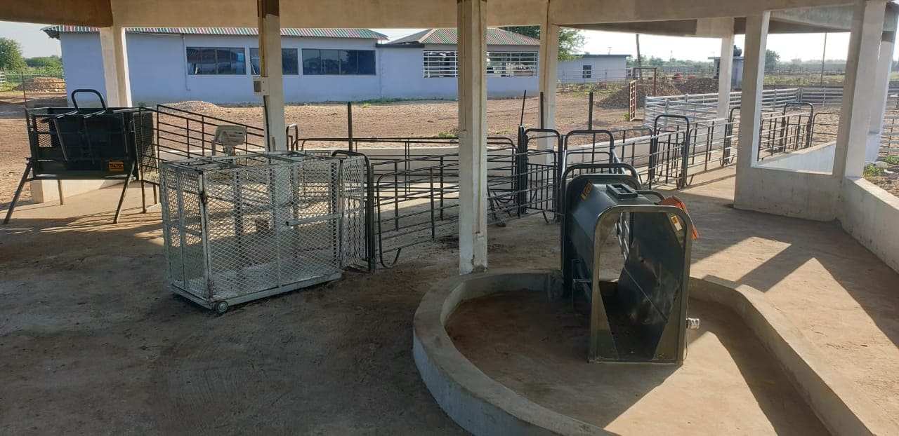 Balança pecuária de Pequeno porte (Banho, pesagem e contenção para tratamento)
