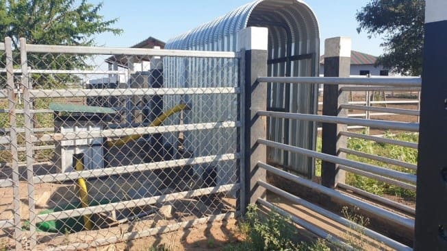 Balança pecuária de grande porte1