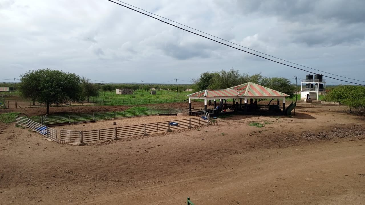 Currais de manejo Tratamento (Pequeno porte área)
