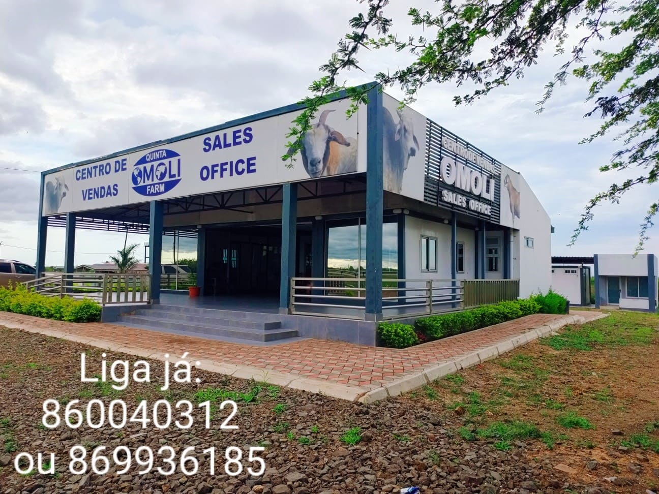 Loja Comercial na N4