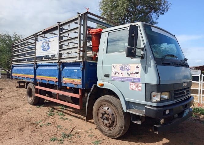 Transporte de longo curso (TATA)